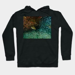 Grouper Hunting School of Minnows Hoodie